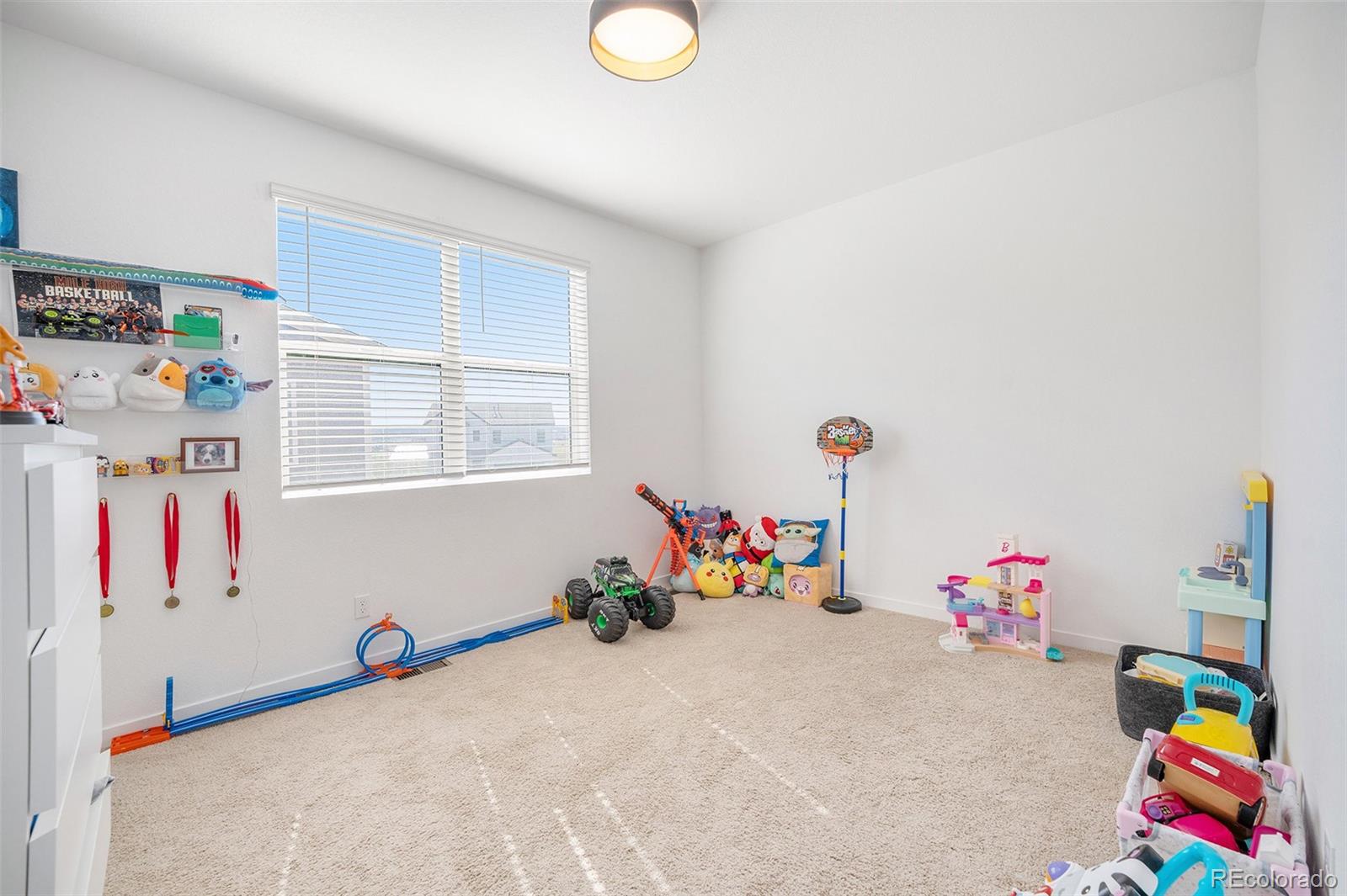 MLS Image #19 for 7889  yampa river avenue ,littleton, Colorado