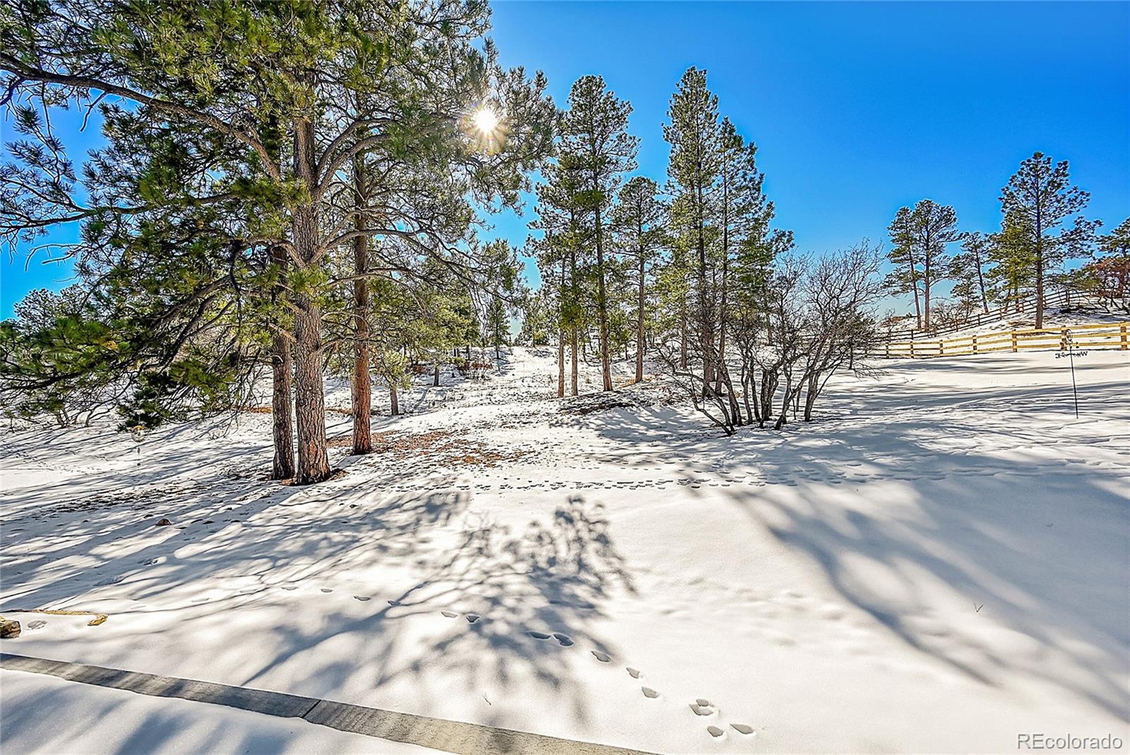 MLS Image #37 for 9228  lone timber court,parker, Colorado