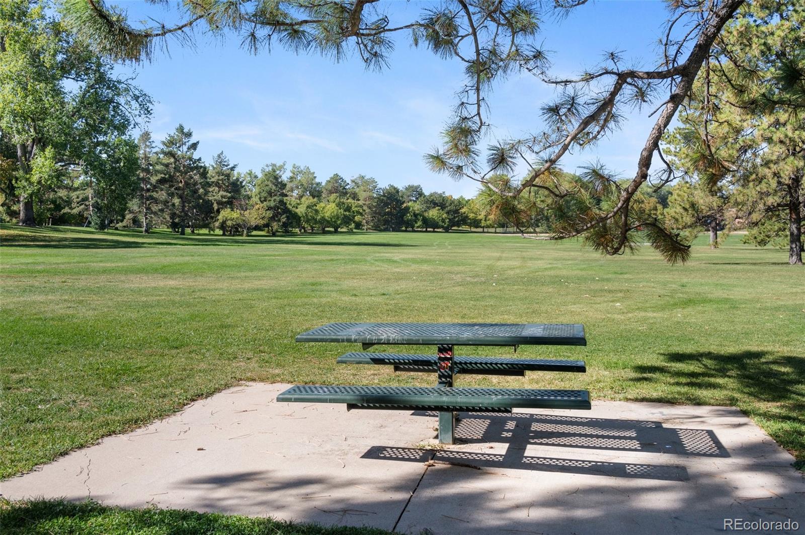 MLS Image #47 for 4645  highline place,denver, Colorado