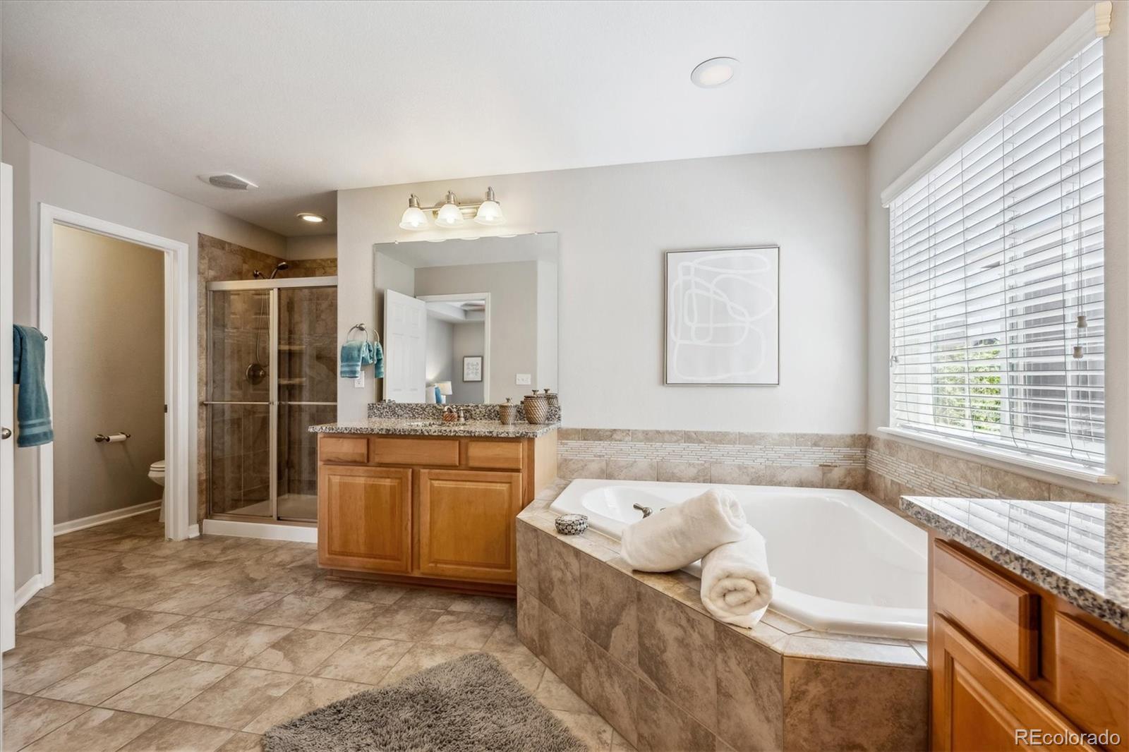 MLS Image #11 for 14058  garfield street,thornton, Colorado