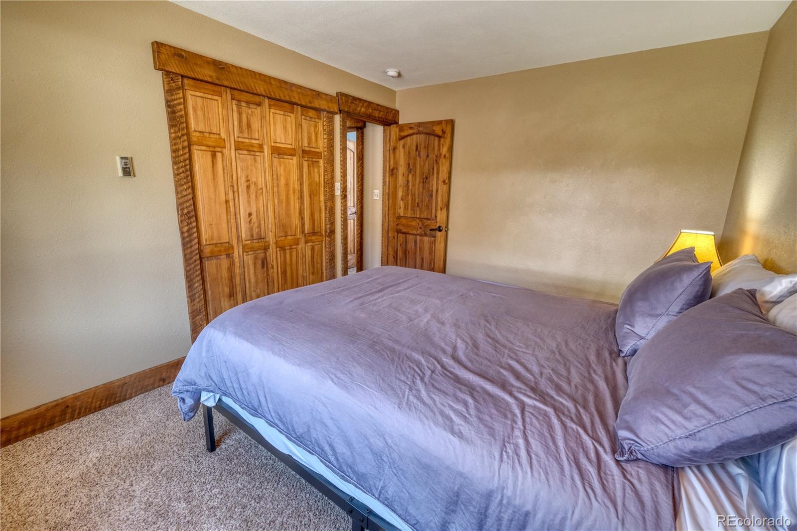 MLS Image #20 for 176  sage creek canyon drive,silverthorne, Colorado