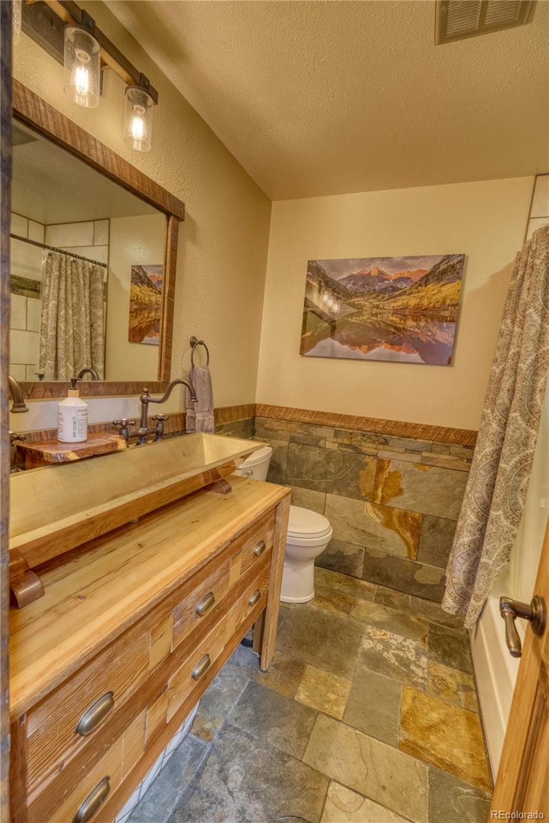 MLS Image #22 for 176  sage creek canyon drive,silverthorne, Colorado