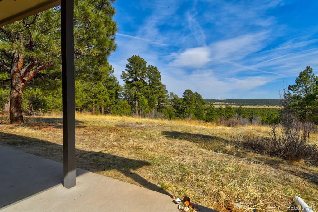 MLS Image #10 for 18673 n elbert road,elbert, Colorado