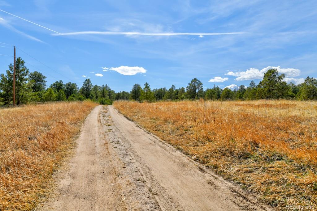MLS Image #2 for 18673 n elbert road,elbert, Colorado