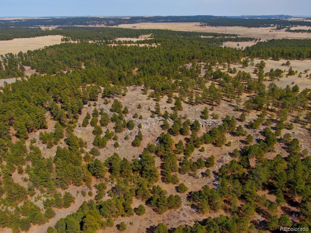 MLS Image #3 for 18673 n elbert road,elbert, Colorado