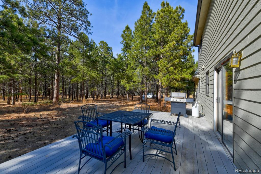 MLS Image #31 for 18673 n elbert road,elbert, Colorado