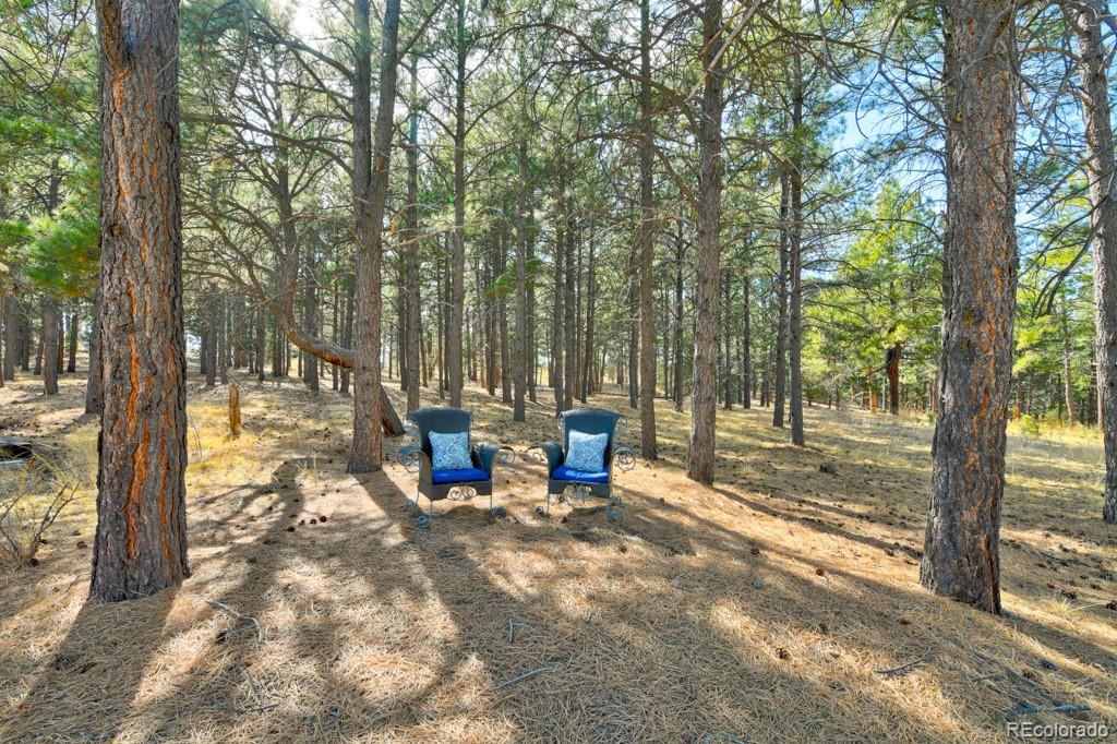 MLS Image #33 for 18673 n elbert road,elbert, Colorado