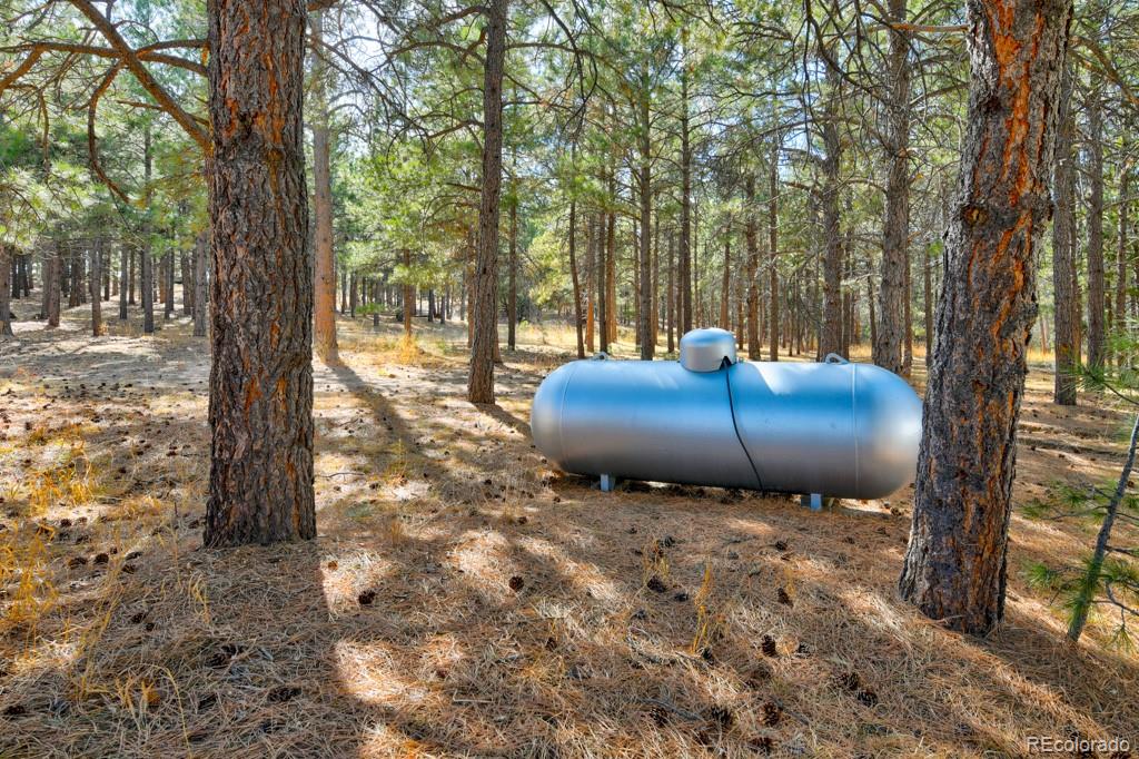 MLS Image #35 for 18673 n elbert road,elbert, Colorado