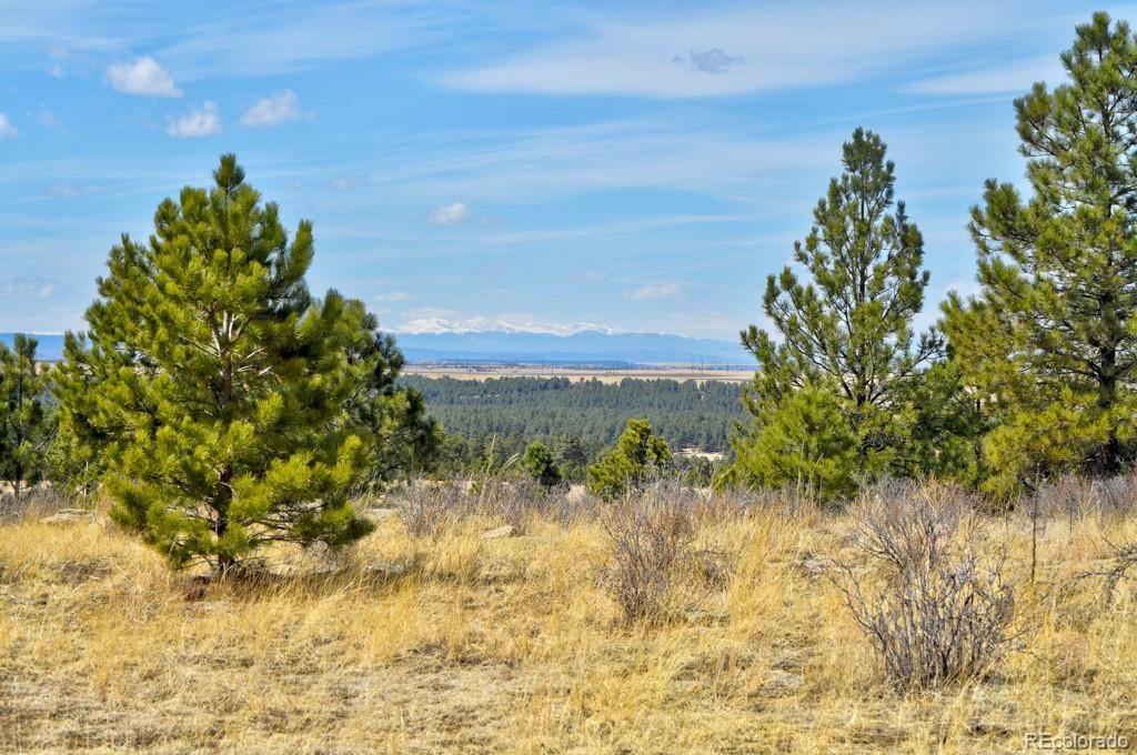 MLS Image #38 for 18673 n elbert road,elbert, Colorado