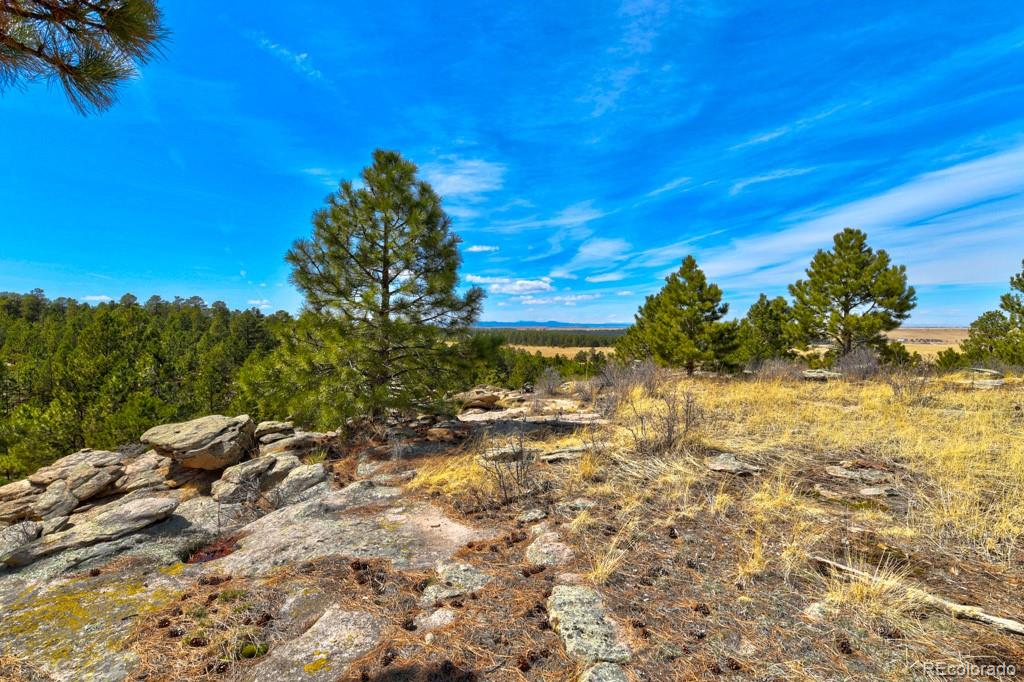 MLS Image #39 for 18673 n elbert road,elbert, Colorado