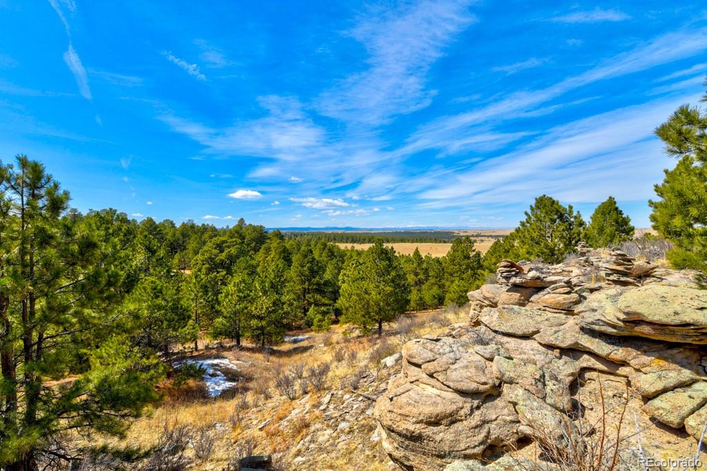 MLS Image #40 for 18673 n elbert road,elbert, Colorado