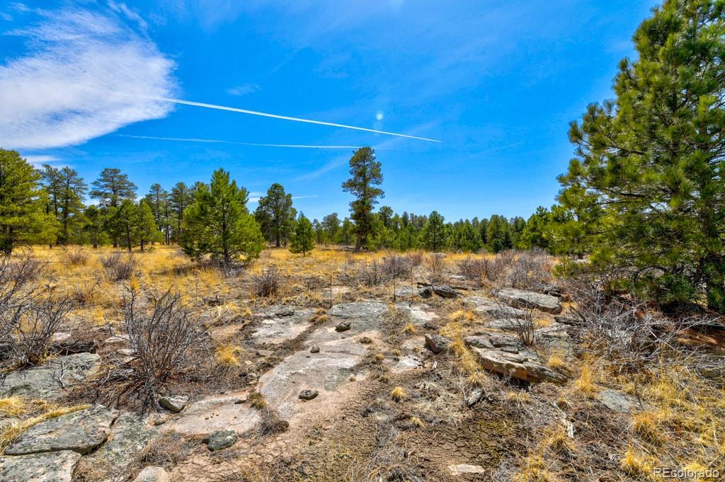 MLS Image #42 for 18673 n elbert road,elbert, Colorado
