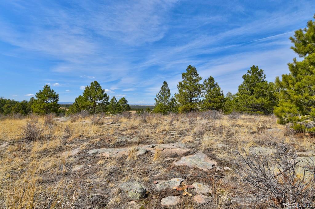 MLS Image #43 for 18673 n elbert road,elbert, Colorado