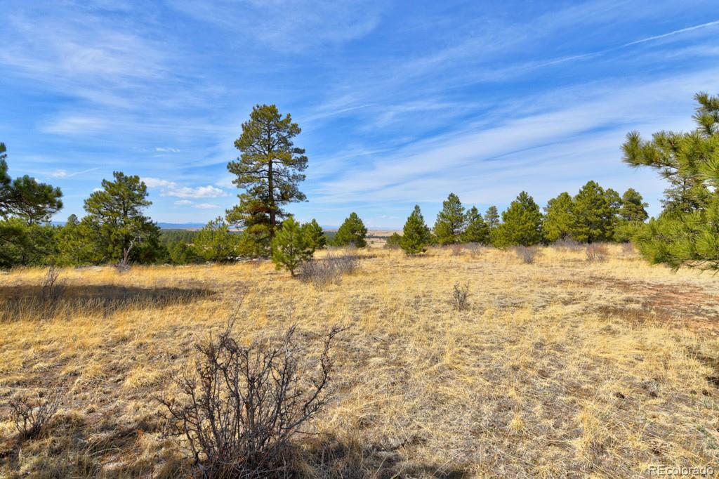 MLS Image #44 for 18673 n elbert road,elbert, Colorado