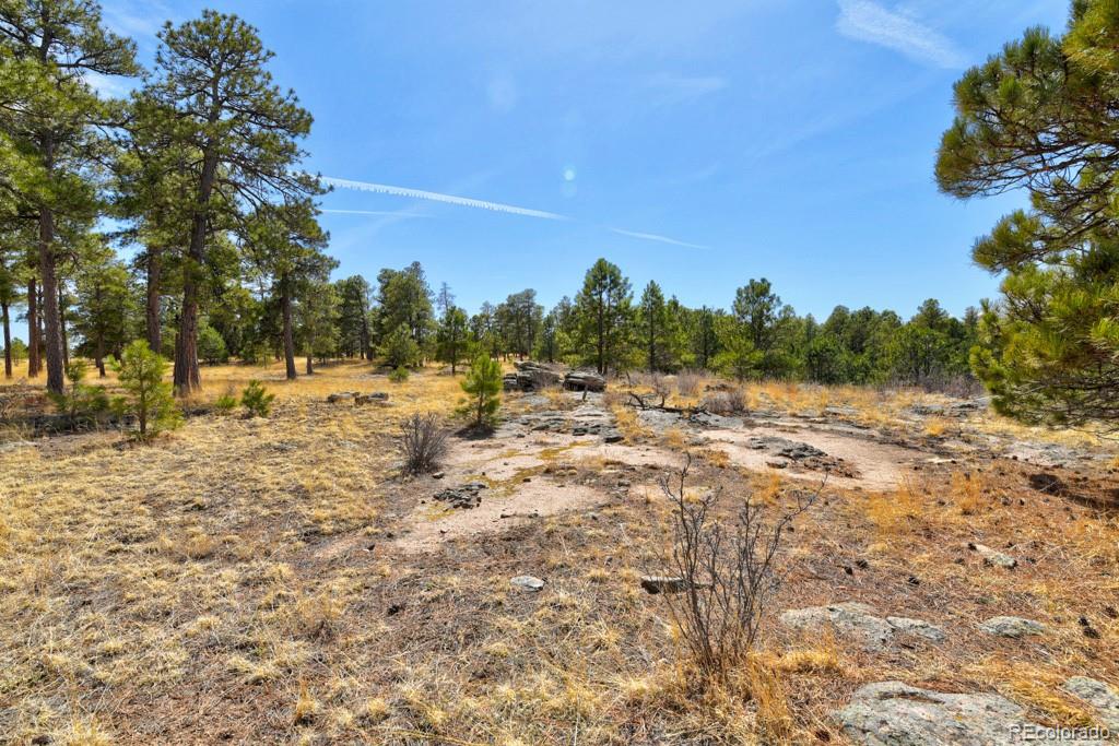 MLS Image #45 for 18673 n elbert road,elbert, Colorado