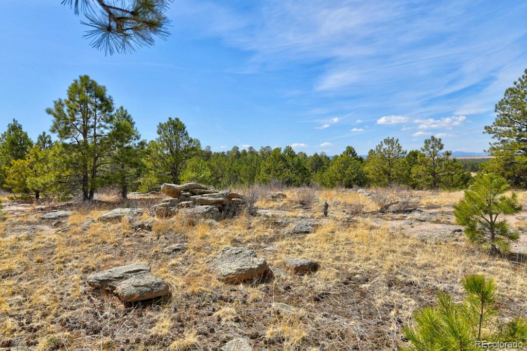 MLS Image #46 for 18673 n elbert road,elbert, Colorado