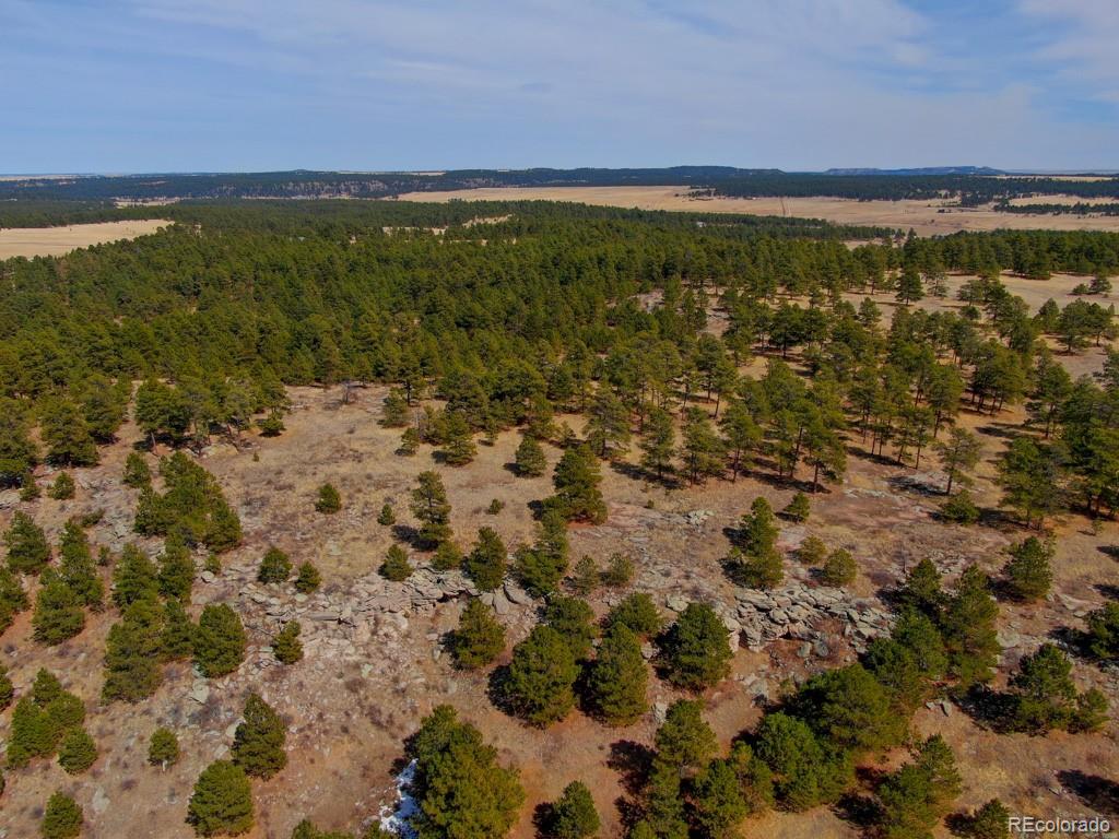 MLS Image #5 for 18673 n elbert road,elbert, Colorado