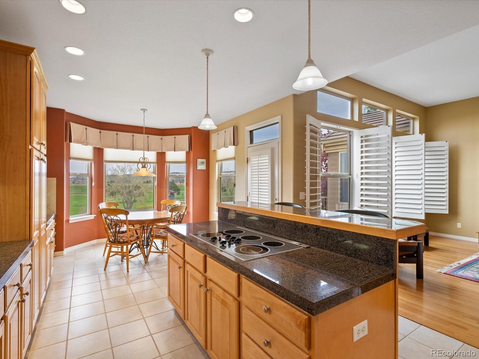 MLS Image #18 for 16631  red cliff circle,morrison, Colorado