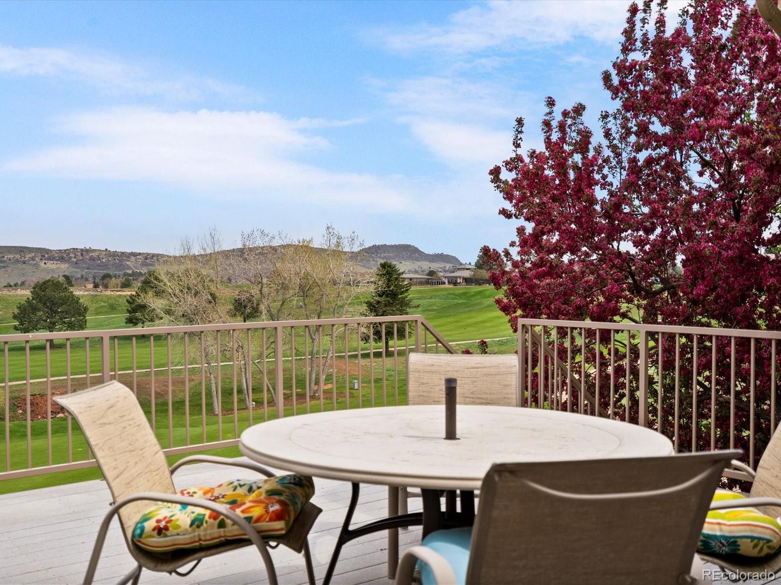 MLS Image #23 for 16631  red cliff circle,morrison, Colorado
