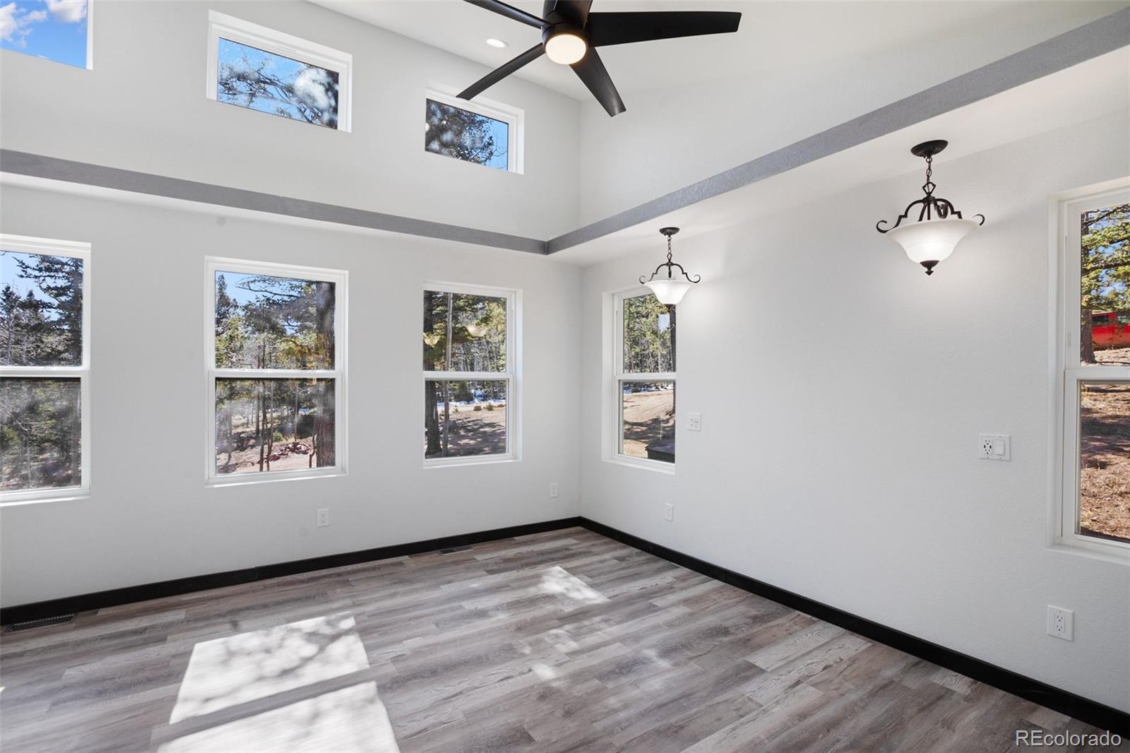 MLS Image #15 for 69  mt powderhorn lane,florissant, Colorado
