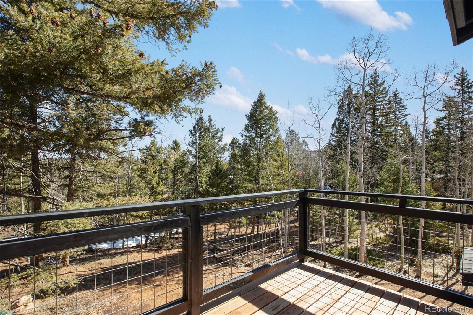 MLS Image #25 for 69  mt powderhorn lane,florissant, Colorado