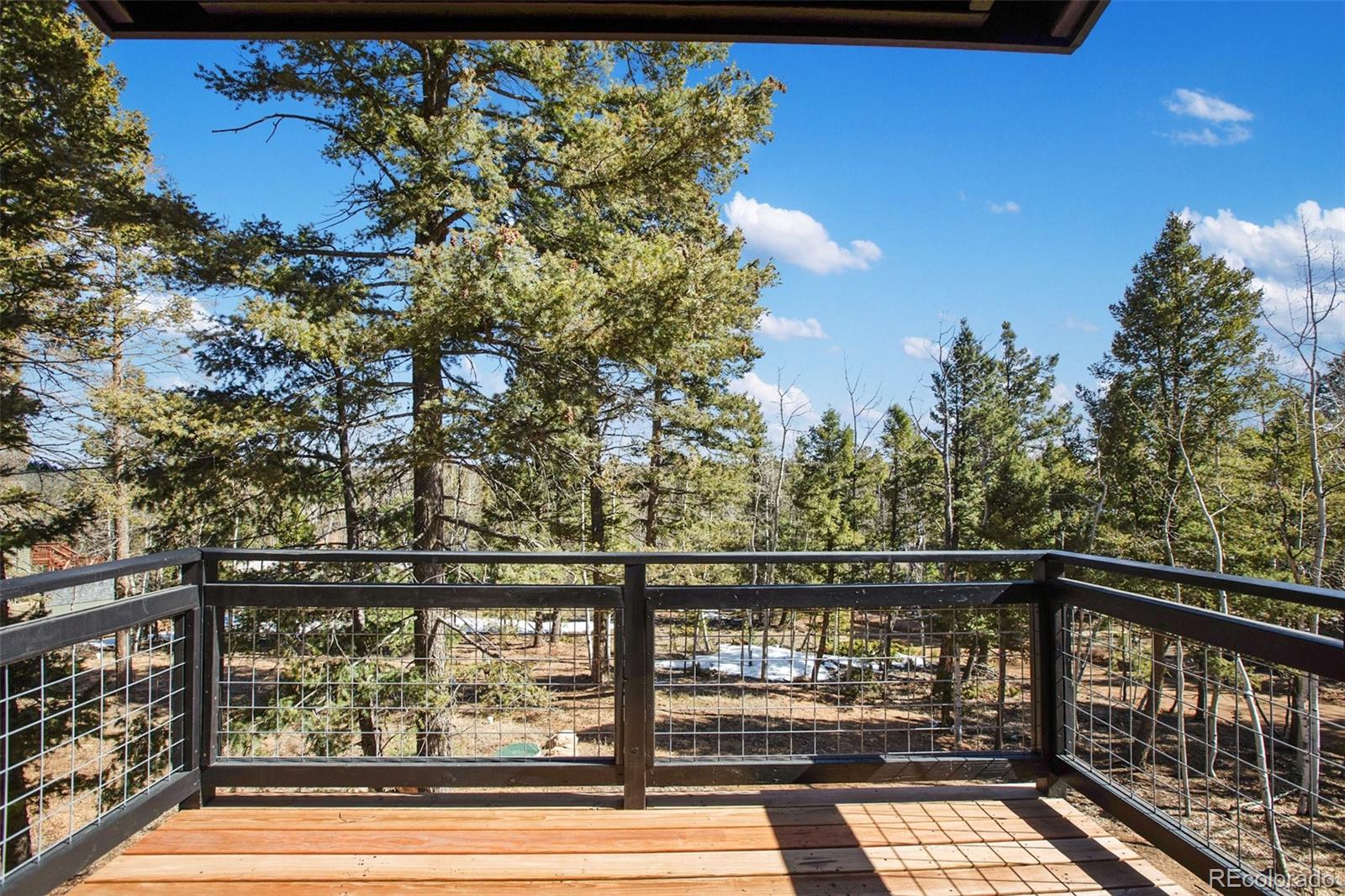 MLS Image #27 for 69  mt powderhorn lane,florissant, Colorado