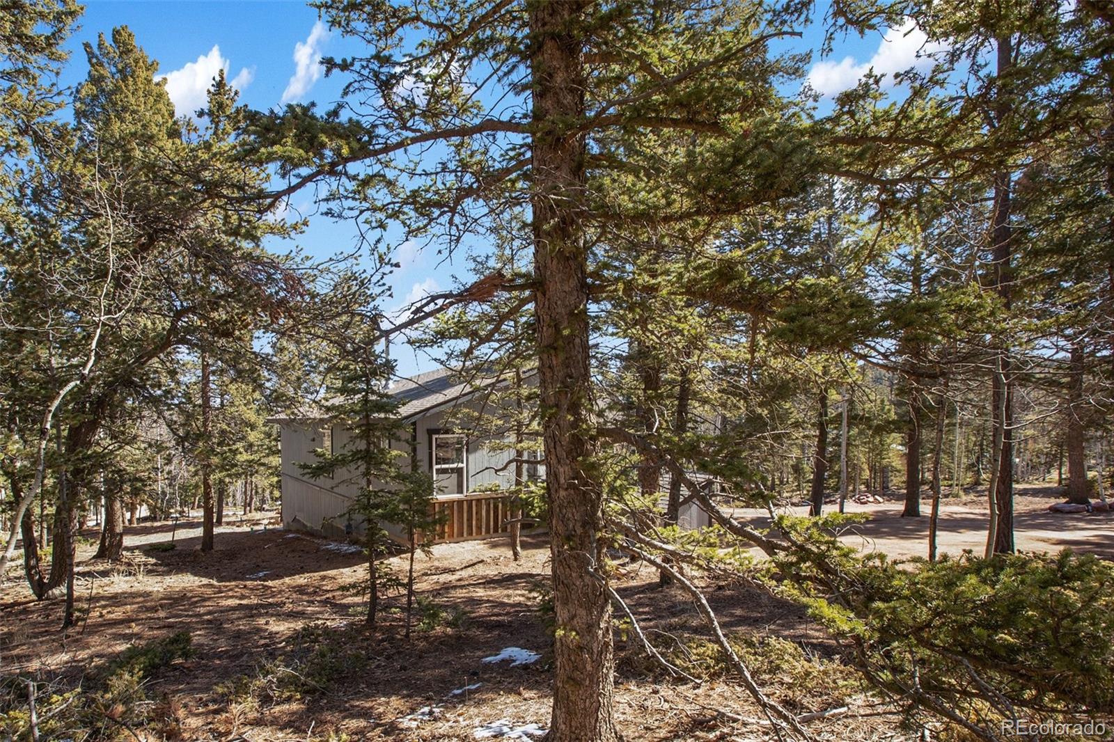 MLS Image #36 for 69  mt powderhorn lane,florissant, Colorado