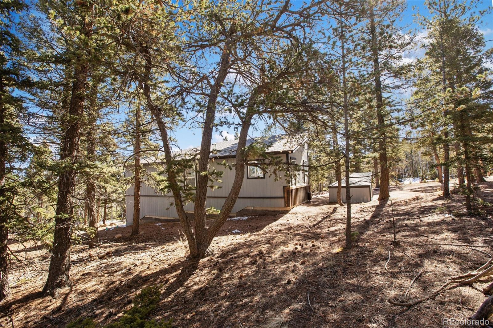 MLS Image #37 for 69  mt powderhorn lane,florissant, Colorado