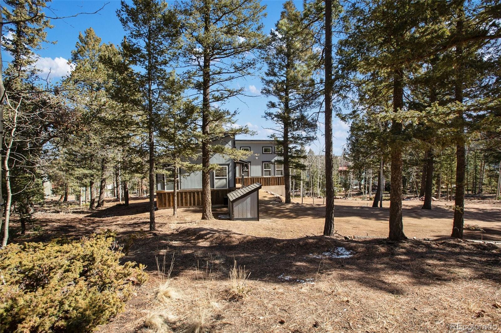 MLS Image #39 for 69  mt powderhorn lane,florissant, Colorado