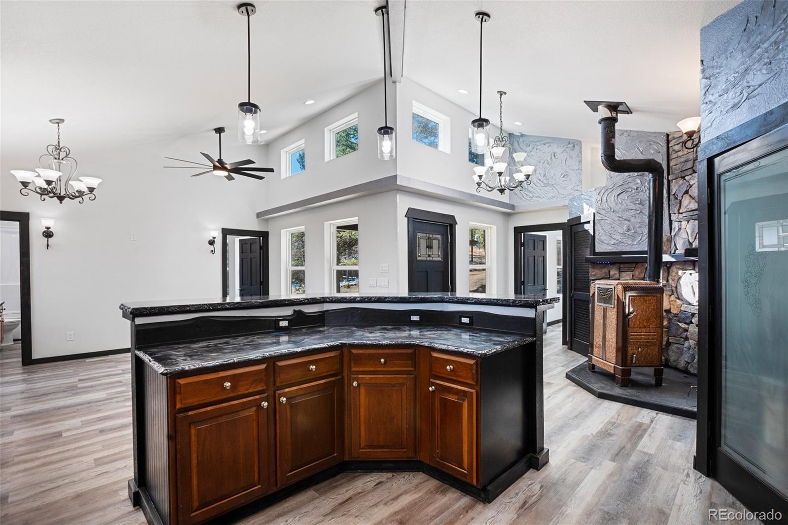 MLS Image #8 for 69  mt powderhorn lane,florissant, Colorado