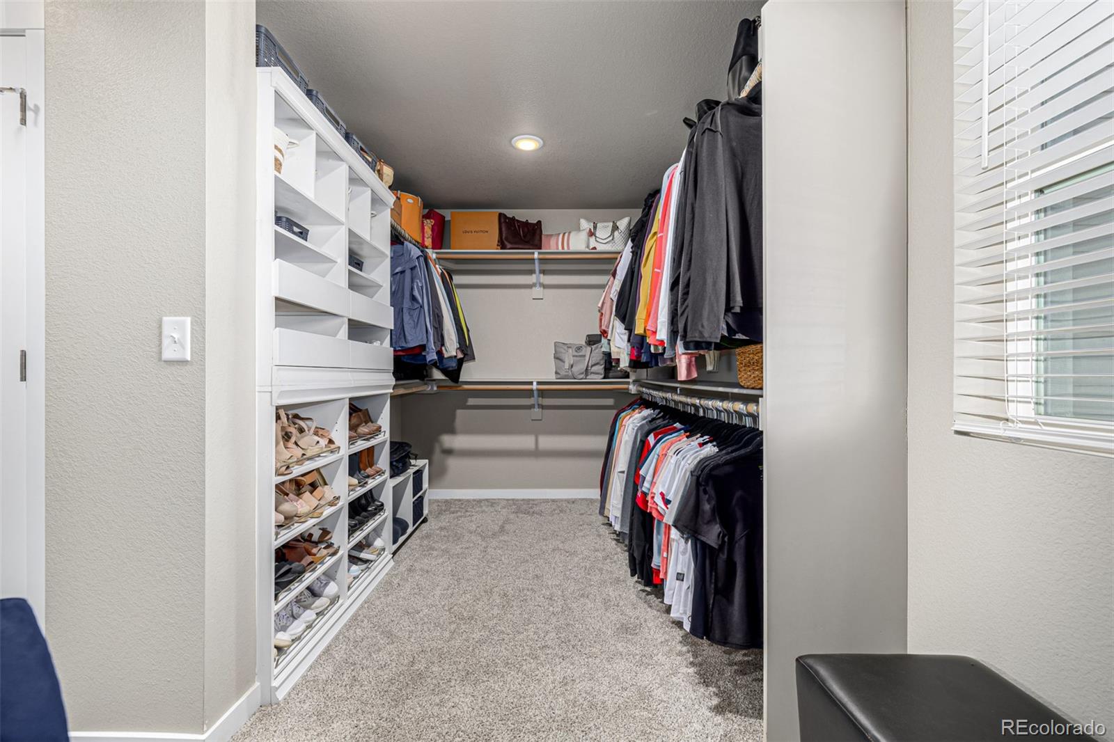 MLS Image #22 for 4522  barrow lane,timnath, Colorado