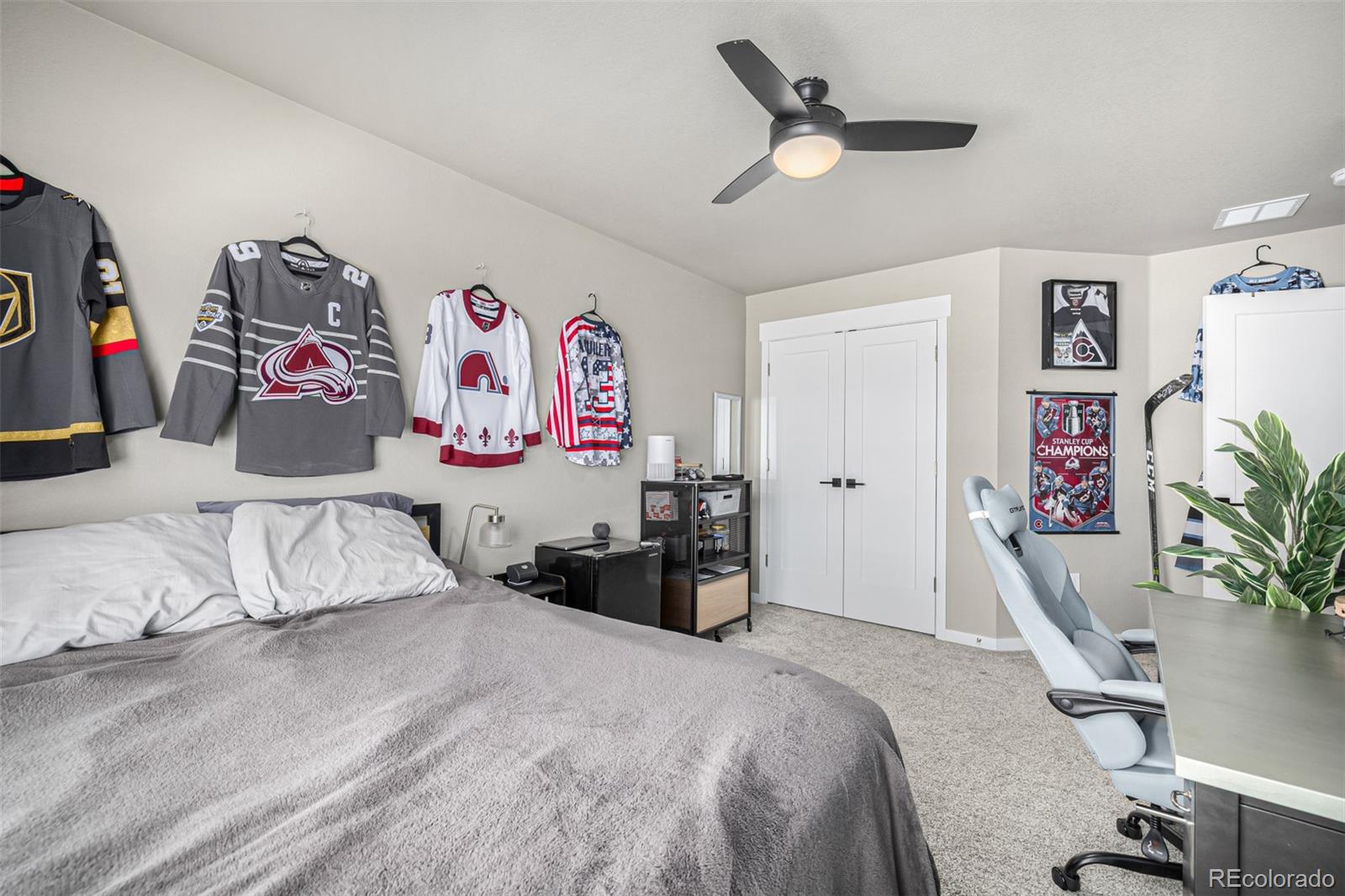 MLS Image #26 for 4522  barrow lane,timnath, Colorado