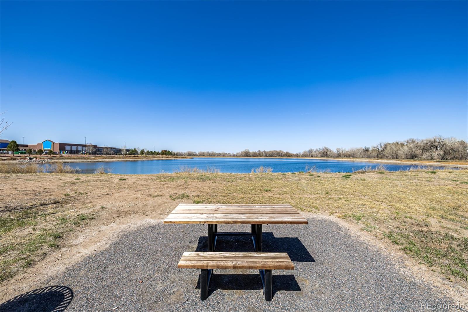 MLS Image #39 for 4522  barrow lane,timnath, Colorado