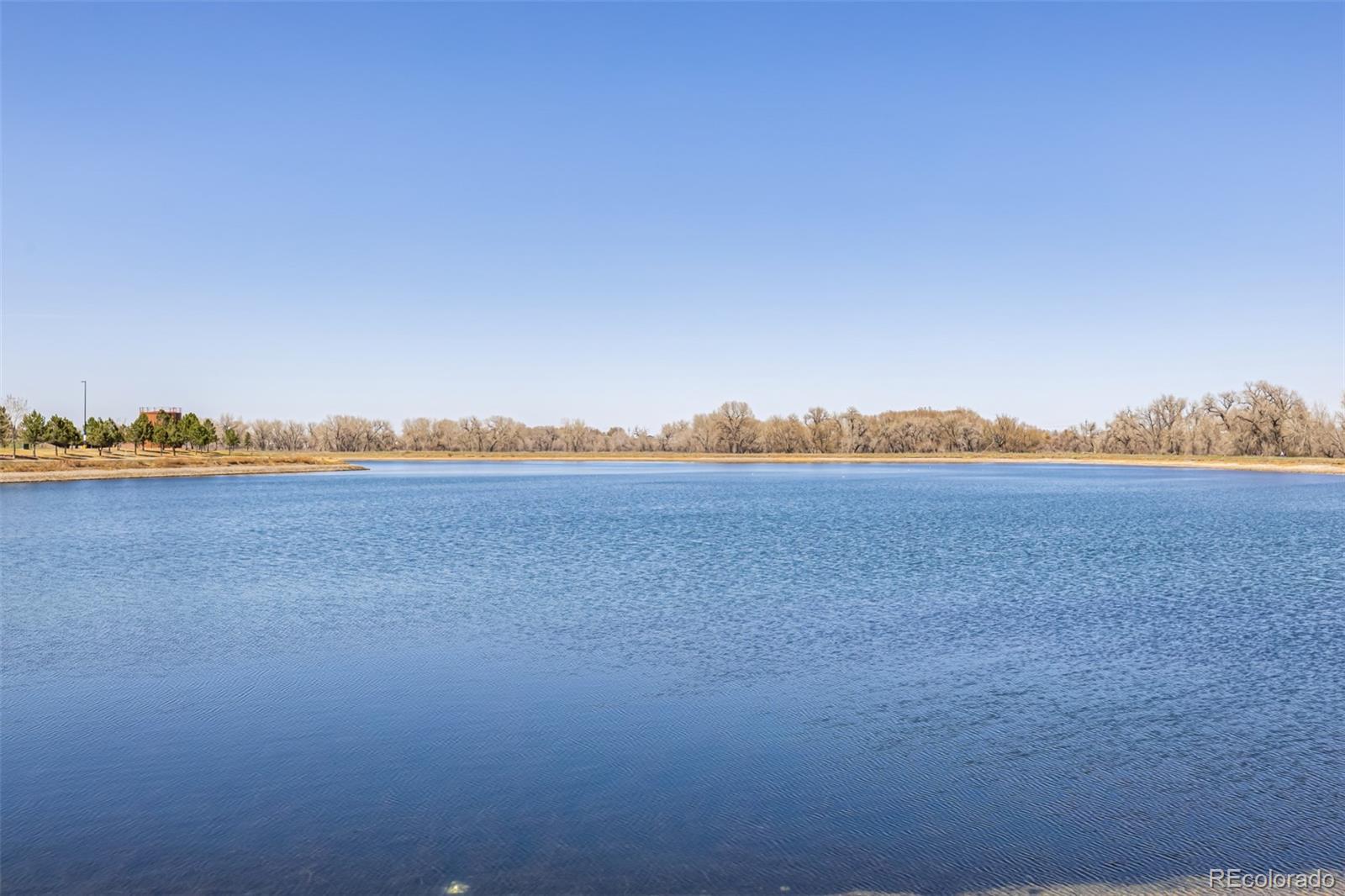 MLS Image #40 for 4522  barrow lane,timnath, Colorado
