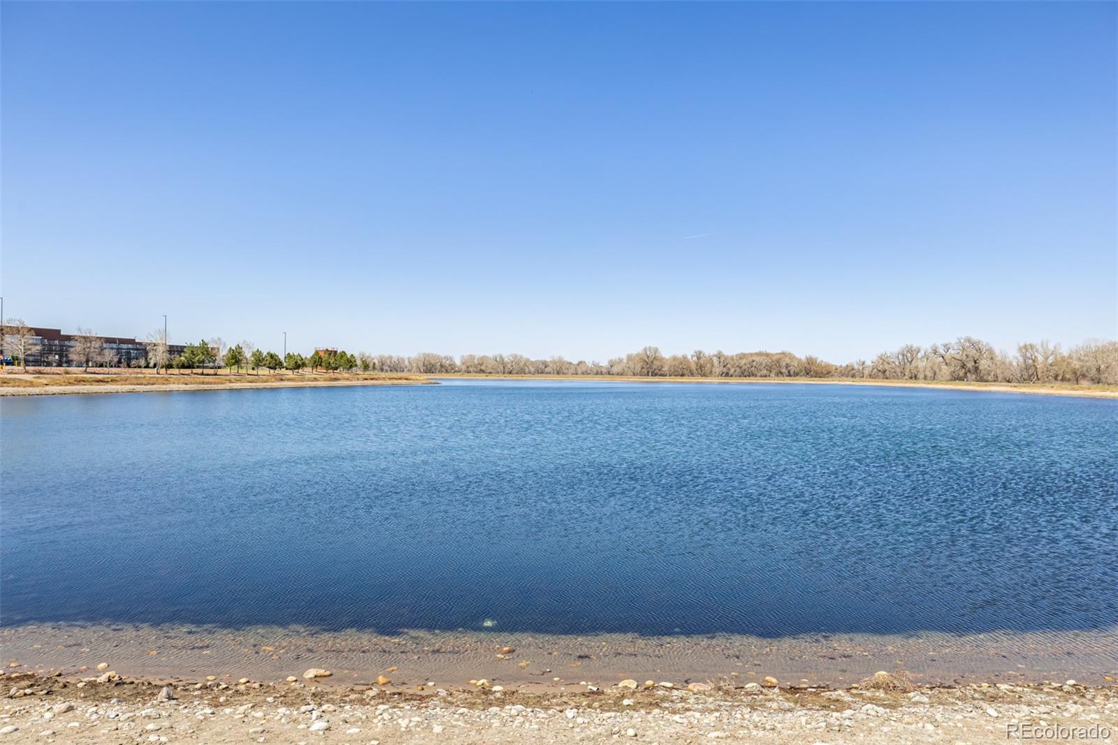 MLS Image #41 for 4522  barrow lane,timnath, Colorado
