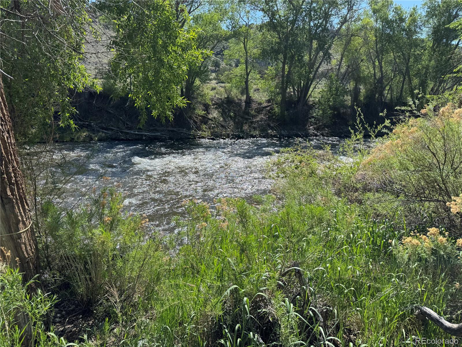 MLS Image #4 for 934  elm drive,salida, Colorado