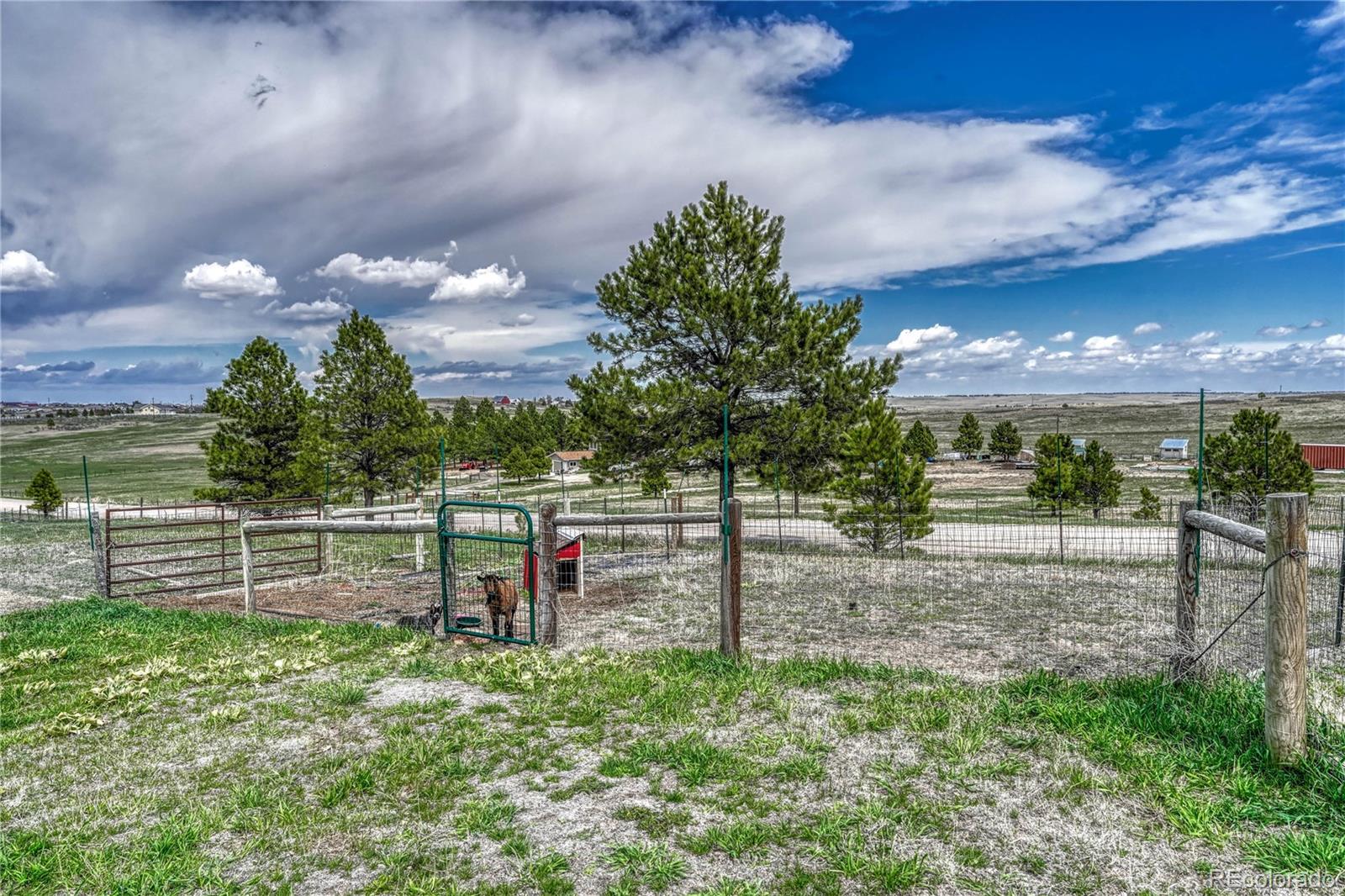 MLS Image #11 for 32068  county road 130 ,kiowa, Colorado