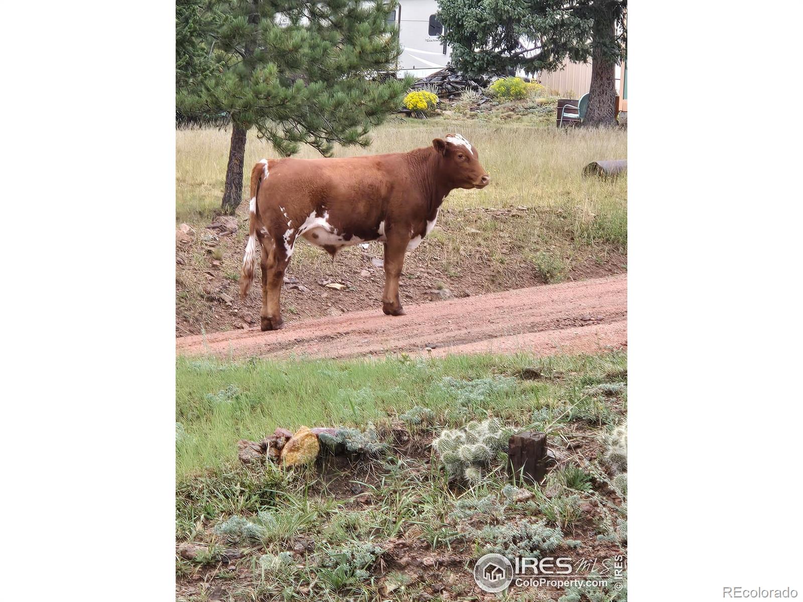 MLS Image #30 for 430 s 4th street,victor, Colorado