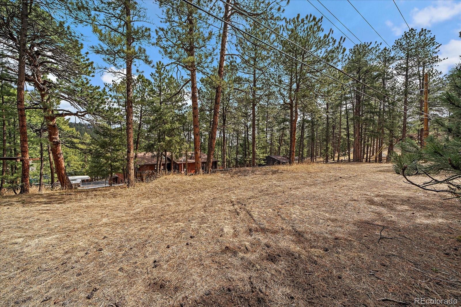 MLS Image #4 for 28630  pine drive,evergreen, Colorado