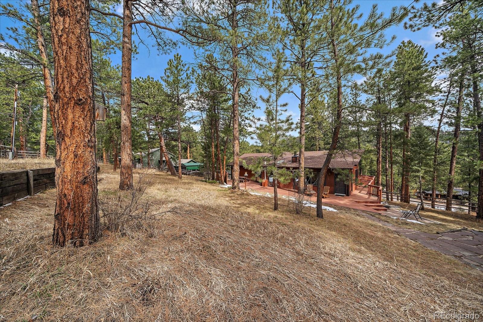 MLS Image #6 for 28630  pine drive,evergreen, Colorado