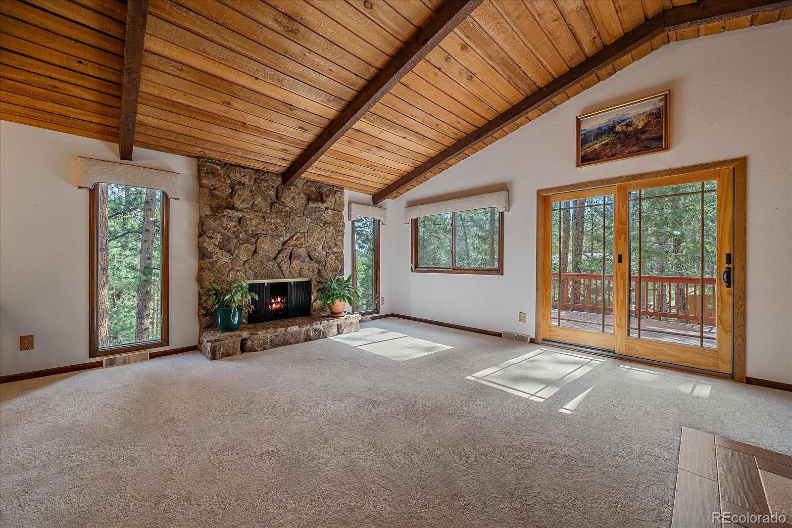 MLS Image #7 for 28630  pine drive,evergreen, Colorado