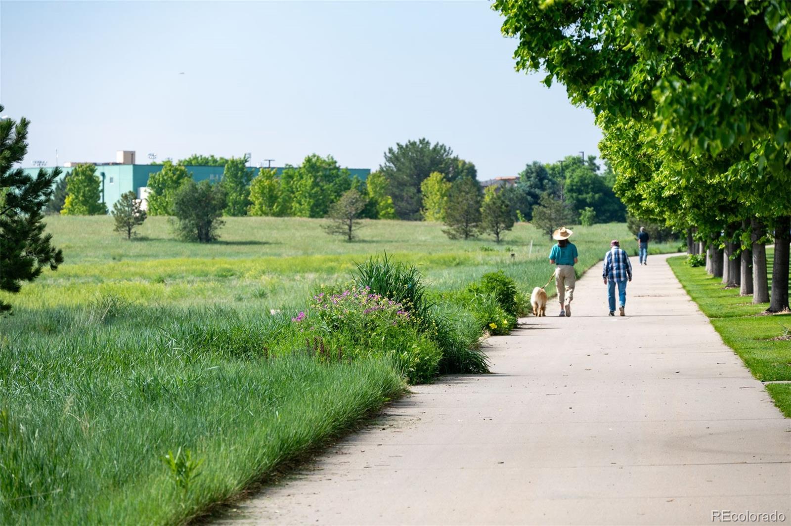 MLS Image #34 for 817  uinta way,denver, Colorado