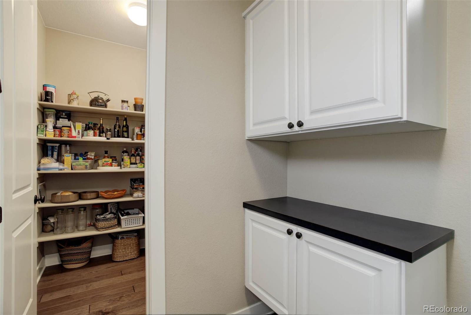 MLS Image #14 for 10167  nadine avenue,parker, Colorado