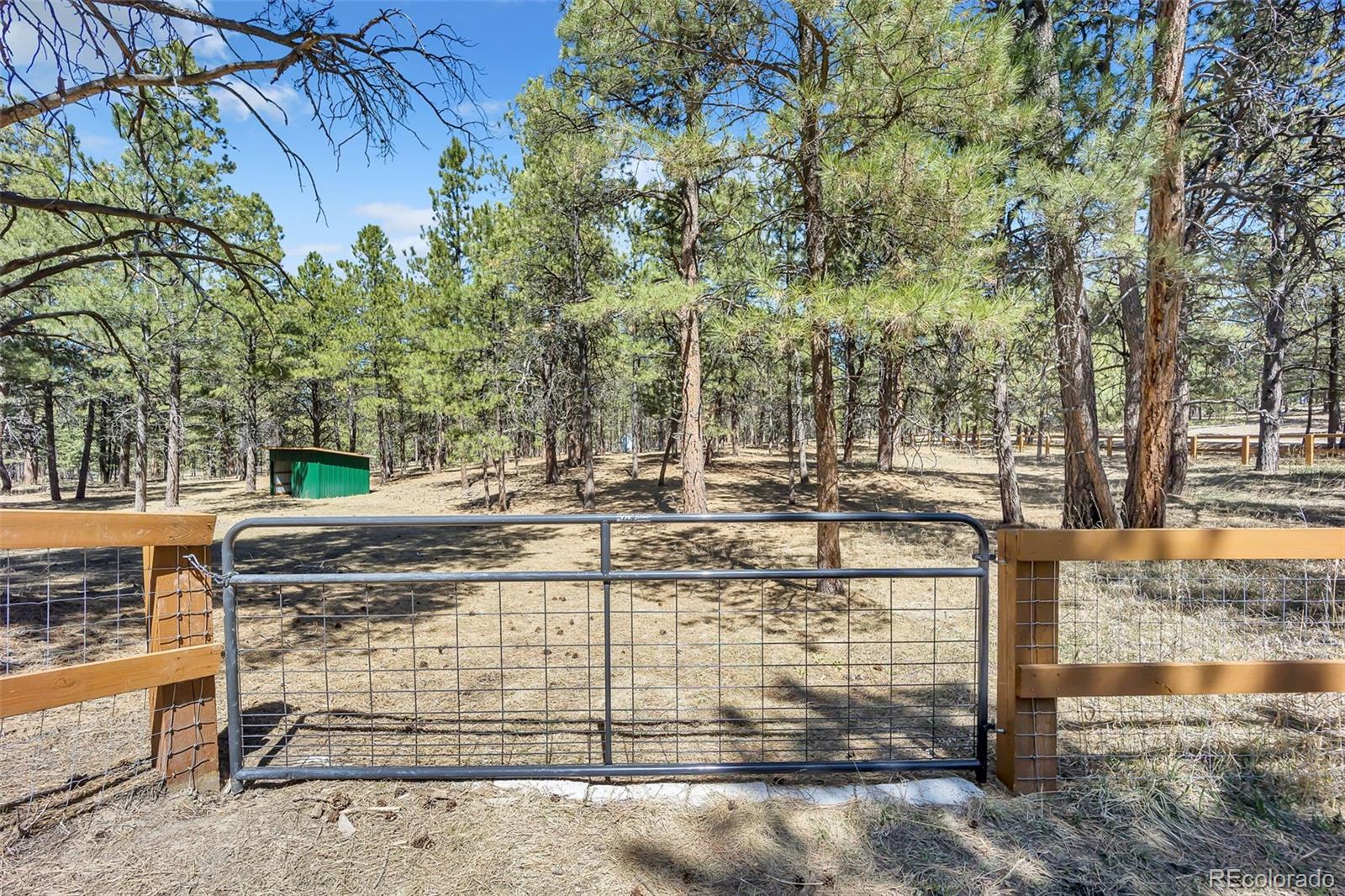MLS Image #37 for 9635  thoroughbred lane,colorado springs, Colorado