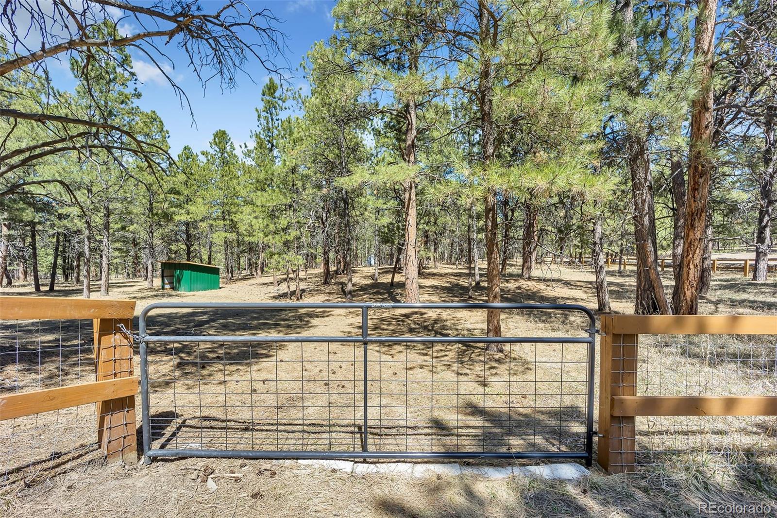 MLS Image #38 for 9635  thoroughbred lane,colorado springs, Colorado