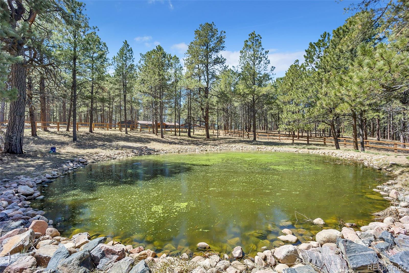 MLS Image #39 for 9635  thoroughbred lane,colorado springs, Colorado