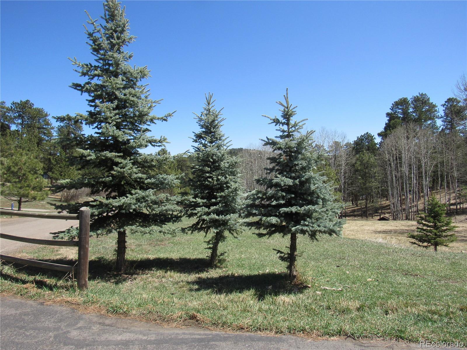 MLS Image #33 for 23136  kiowa road,indian hills, Colorado