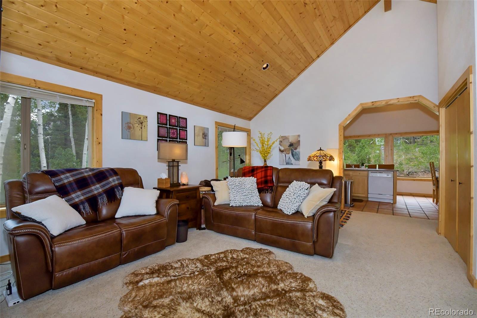 MLS Image #9 for 290  eagle rock road,florissant, Colorado