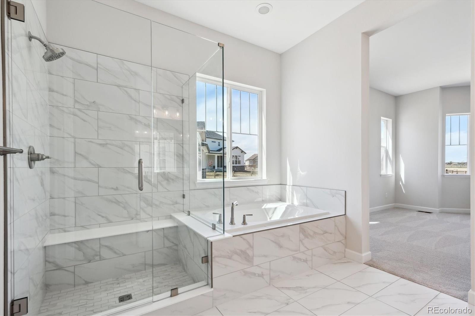 MLS Image #14 for 1292  alyssa drive,timnath, Colorado