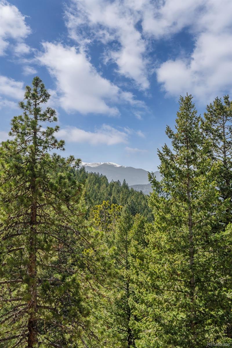 MLS Image #41 for 5699  northwood drive,evergreen, Colorado